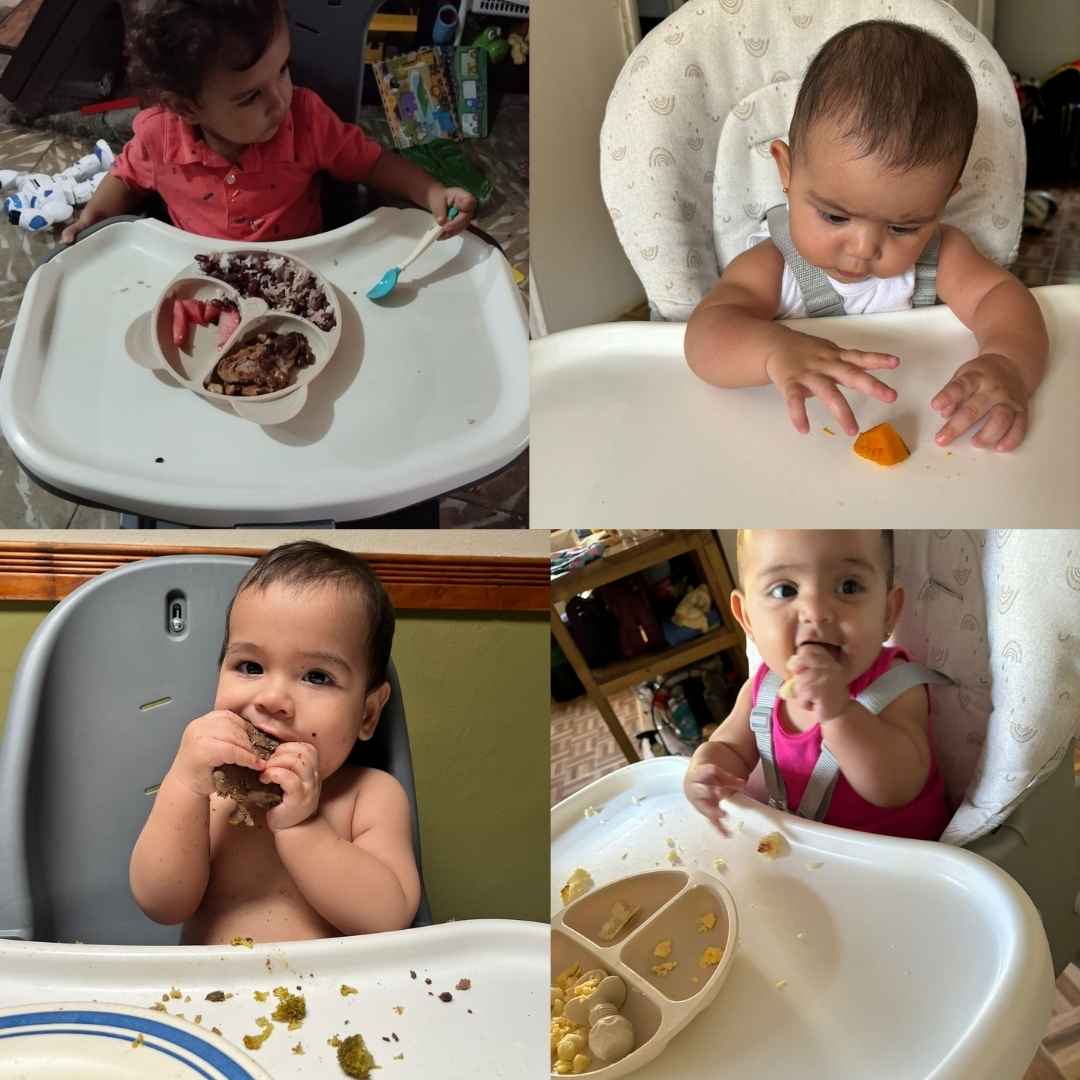 Taller de Alimentación Complementaria – Iniciá esta etapa con confianza: imagen 2